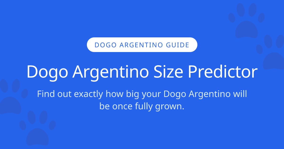 How Big Will My Dogo Argentino Get? | Dogo Argentino Size Calculator