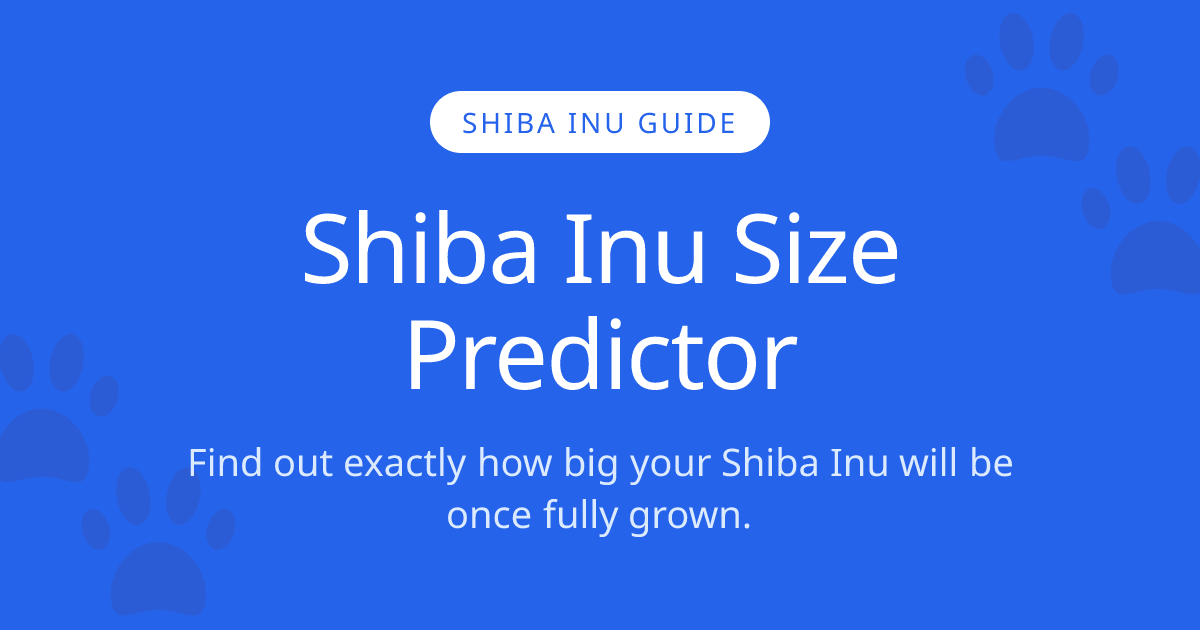 How Big Will My Shiba Inu Get? | Shiba Inu Size Calculator