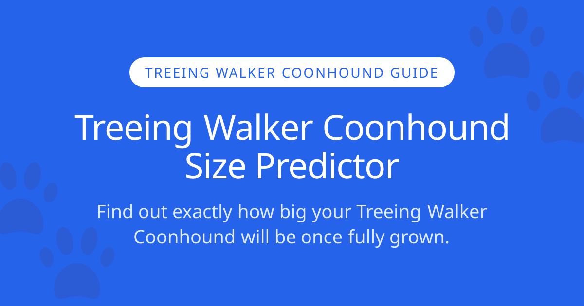 ¿Cuánto crecerá mi Treeing Walker coonhound? | Calculadora de talla ...